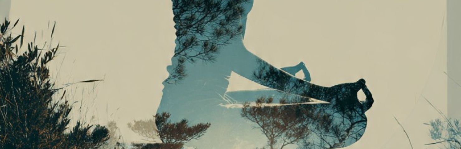 Conecta con tu prana